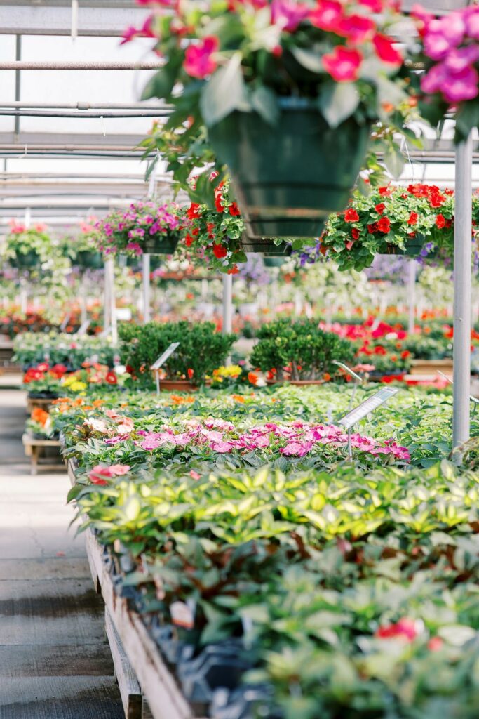Community Highlights Meet Jo Ann Dewar of Fairview Greenhouses and
