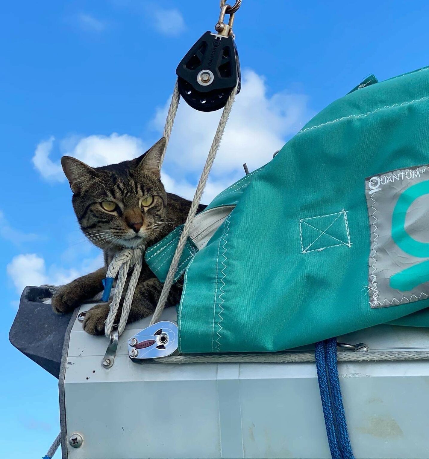 Conversations with Rosie Bell & Brad Flowers VoyageRaleigh Magazine Raleigh's Most Inspiring