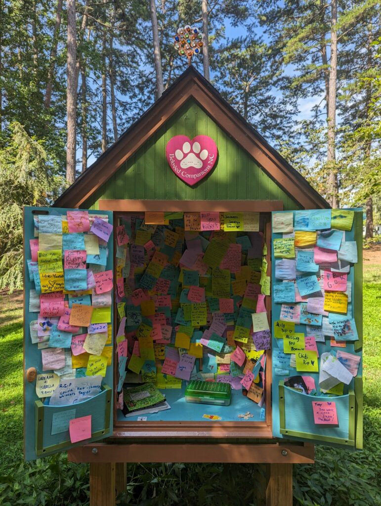 Meet Lynn Byrd VoyageRaleigh Magazine Raleigh's Most Inspiring Stories