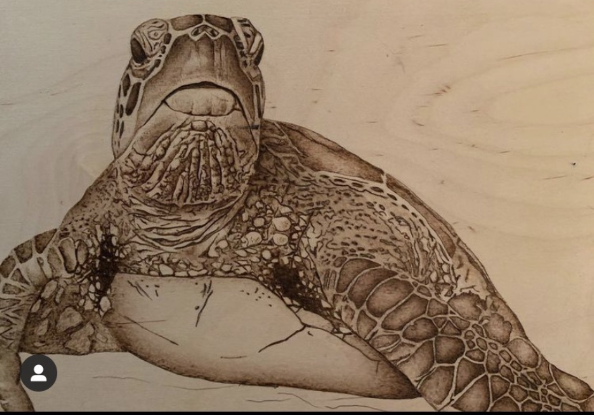 A turtle with detailed shell and head resting on a flat surface, facing forward.