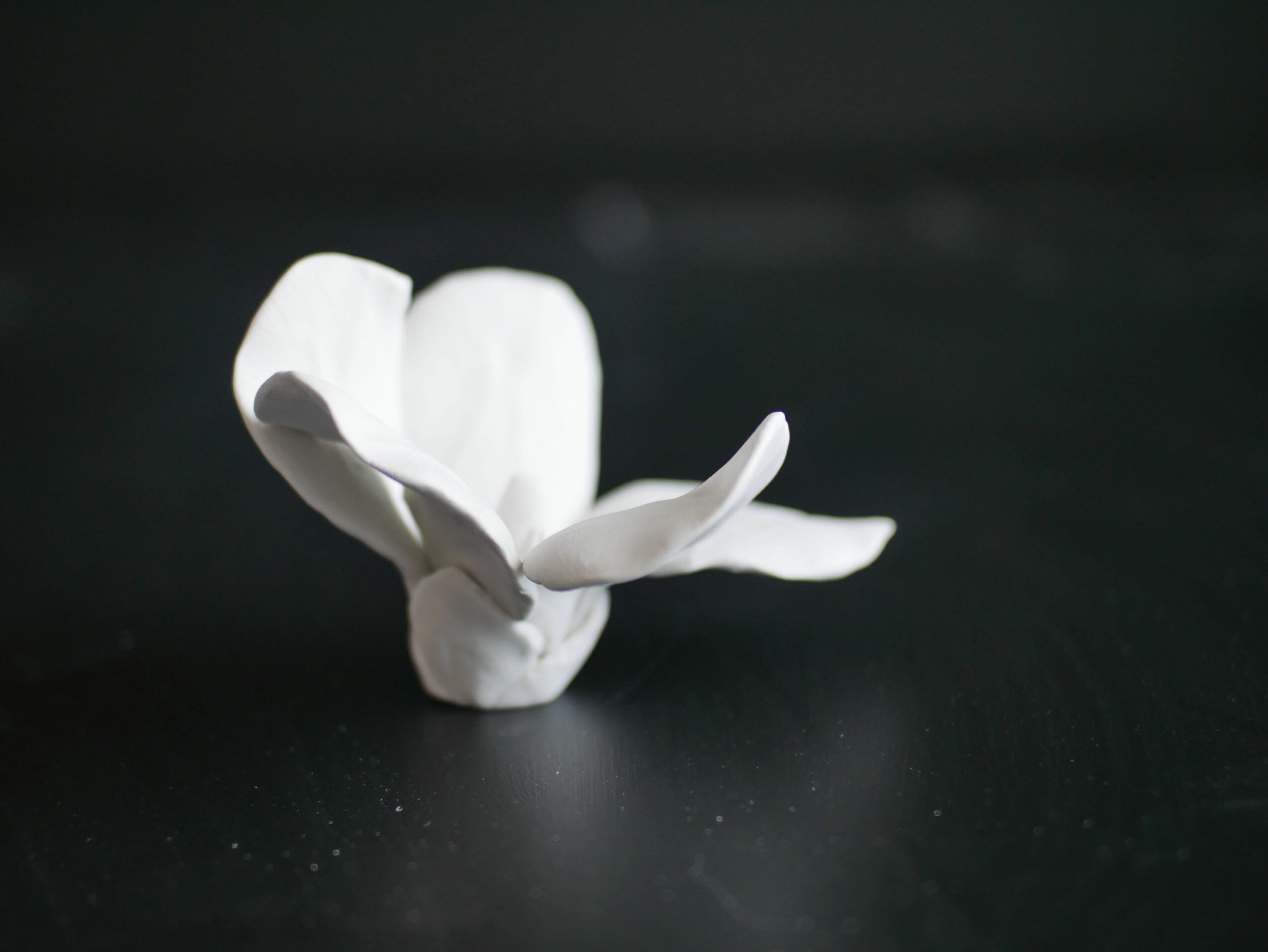 White crumpled paper on a black surface with a dark background.