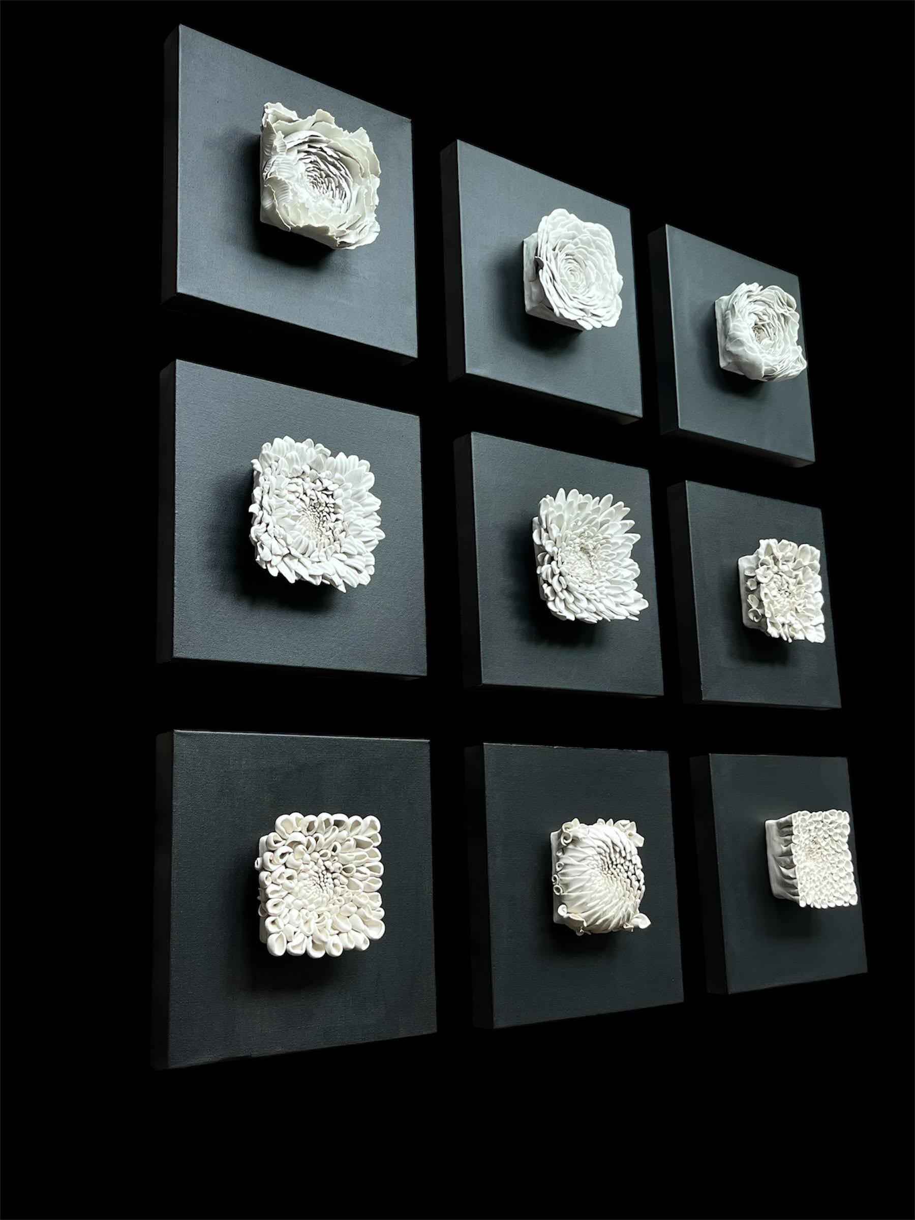 Nine white textured sculptures mounted on black square backgrounds arranged in a 3x3 grid.
