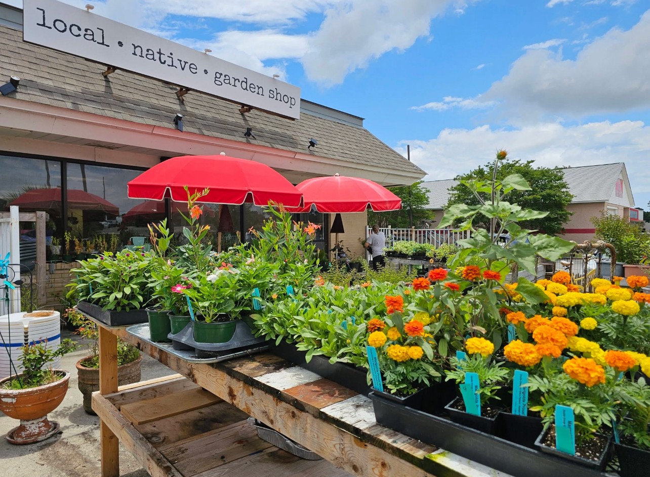 Outdoor garden shop with potted plants and flowers on a wooden table, red umbrellas, and a building with a sign reading 'local native garden shop'.