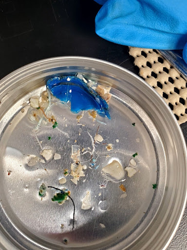 Metal tray with broken blue plastic piece, small debris, and green plant fragments, with a blue cloth and patterned object nearby