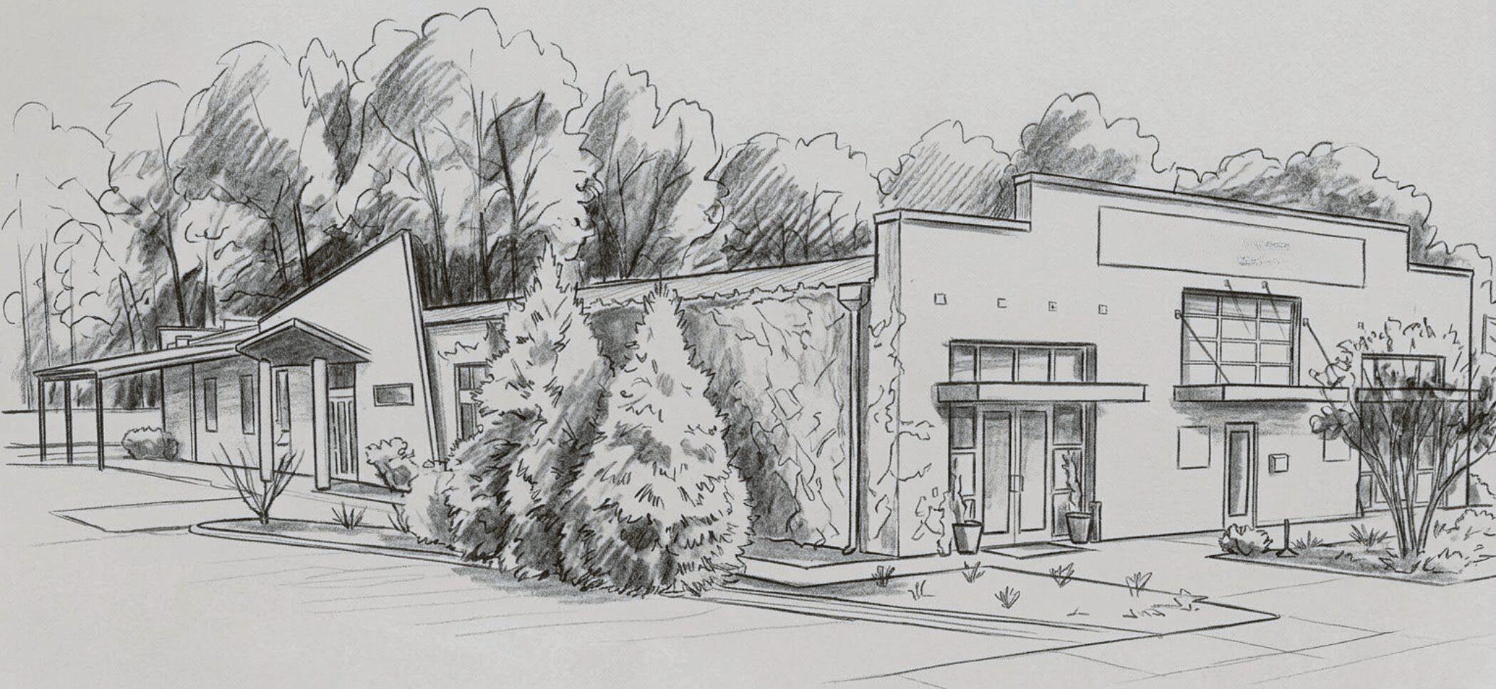 Sketch of modern buildings with trees and bushes in front, background of trees, and a sidewalk.