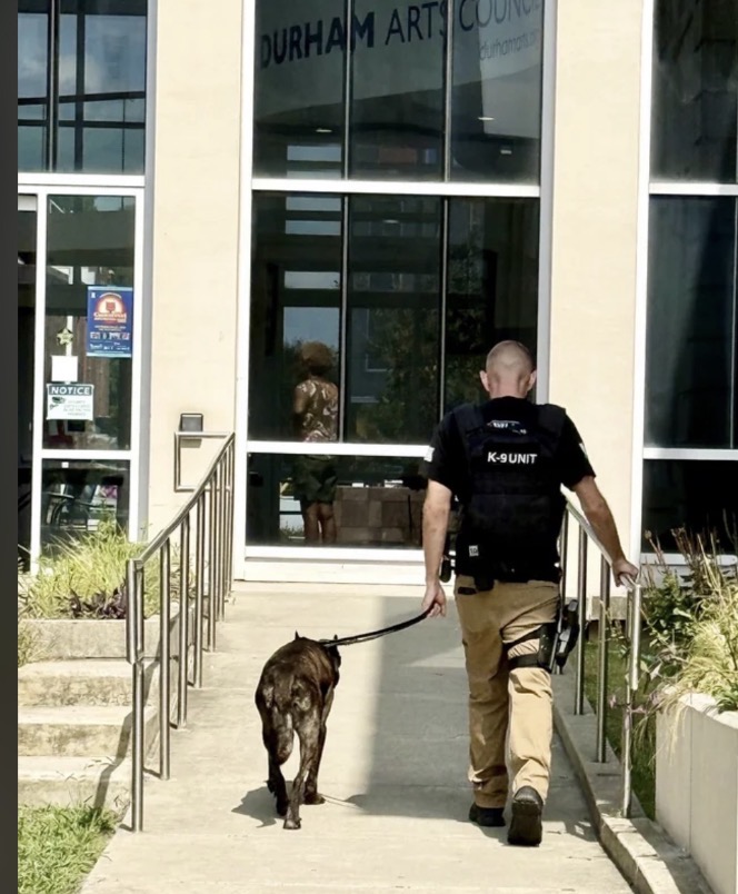 Person walking a dog towards a glass building entrance, with plants on either side, sunlight, and reflections in the glass.