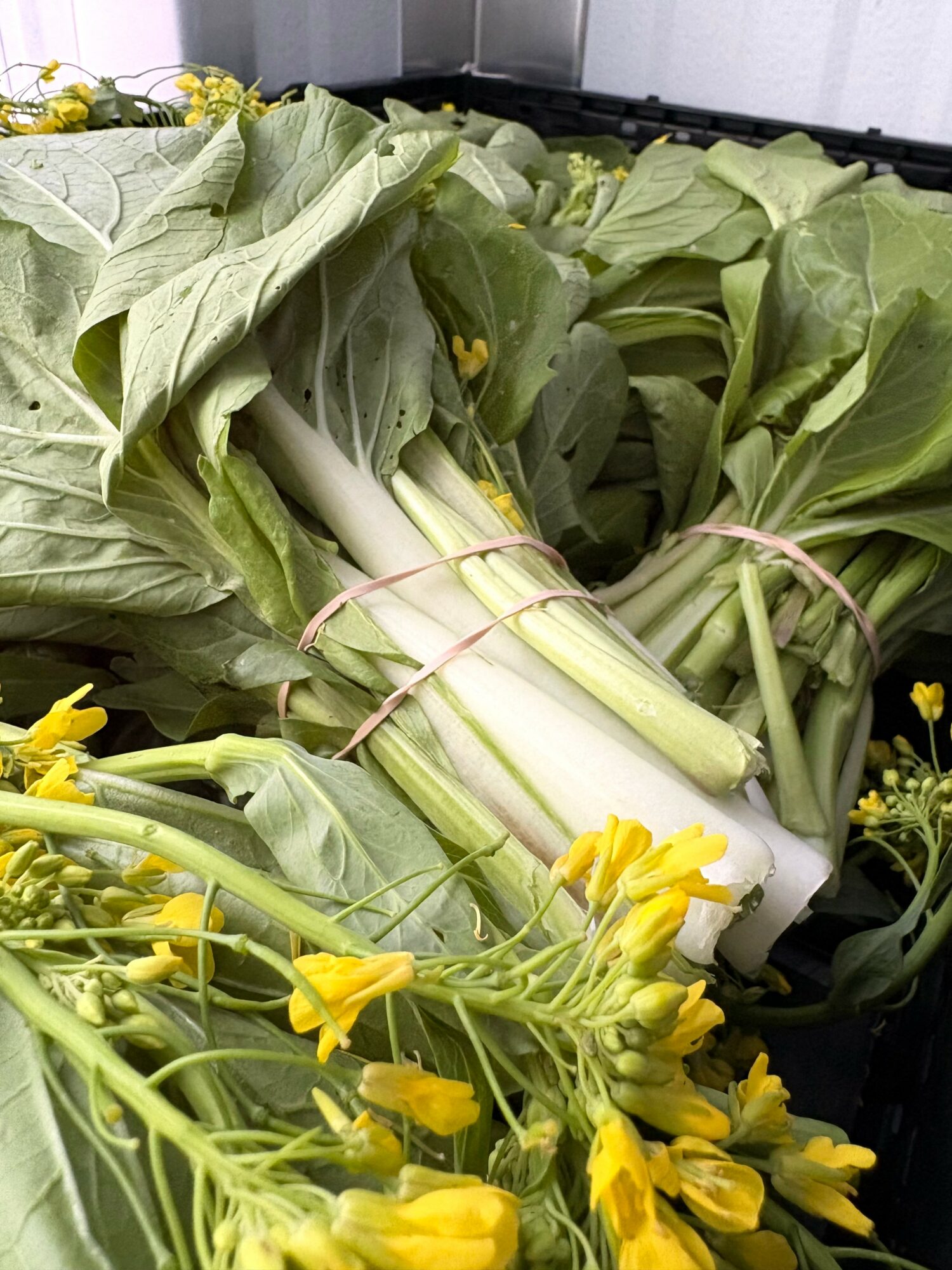 Fresh bok choy with green leaves and white stalks, accompanied by yellow flowers, on a black surface.
