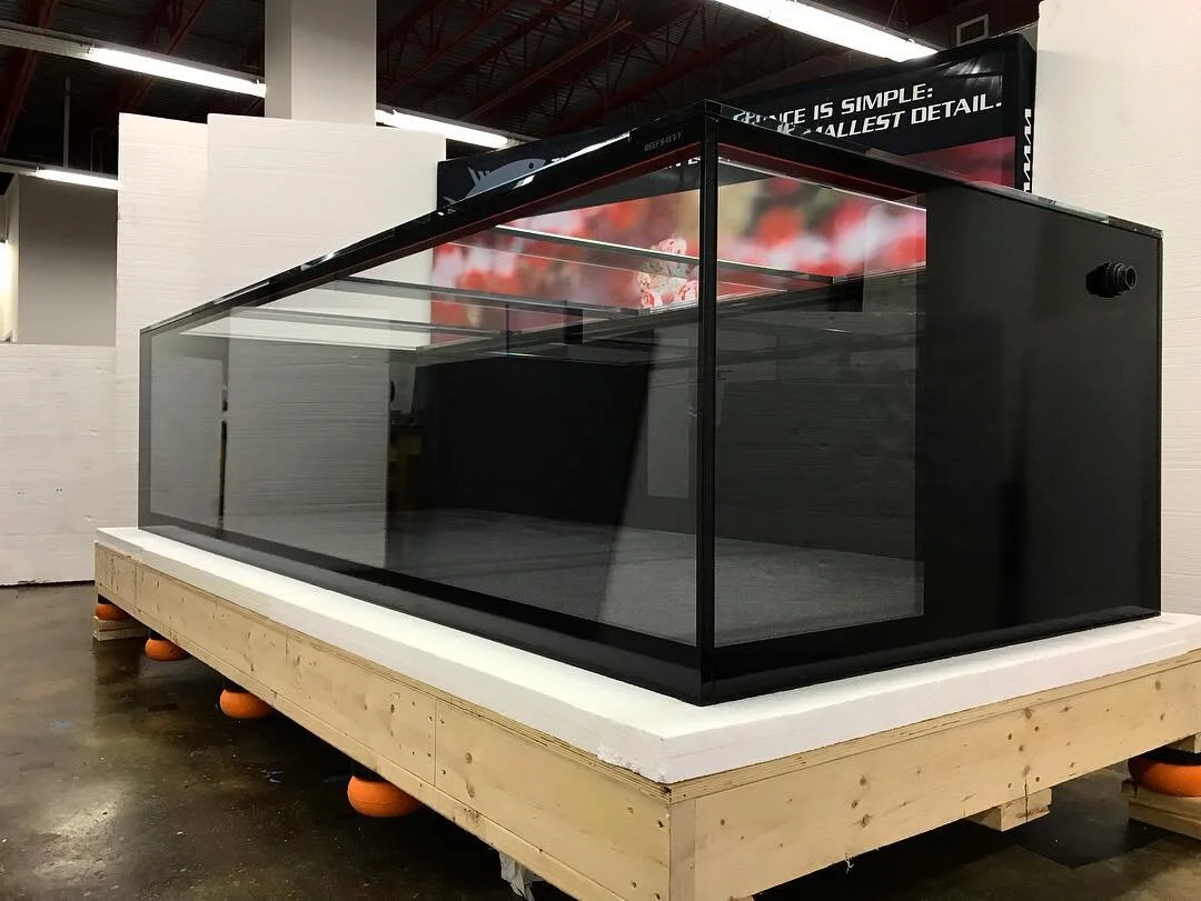 Glass display case on a wooden platform in an indoor setting, with a black background and ceiling visible.