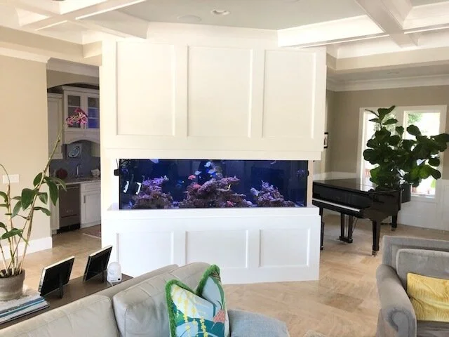 Living room with a large built-in aquarium, piano, and seating area, featuring a potted plant and window in the background.