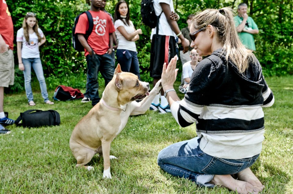 Girl kneeling and high-fiving a dog outdoors with a group of people in the background.