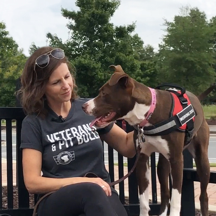 Woman with sunglasses on her head petting a brown and white dog wearing a harness outdoors, trees in background.