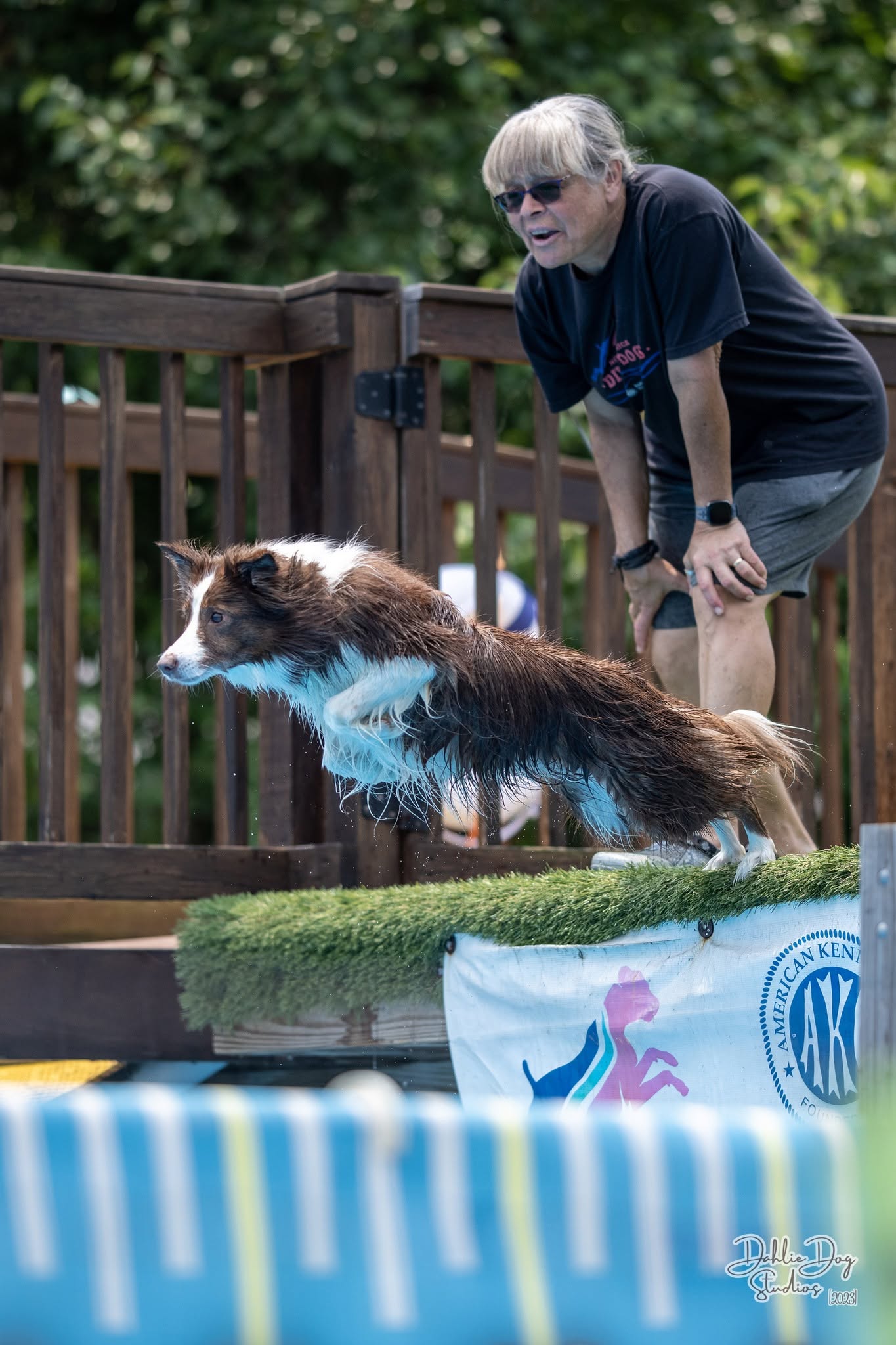 Person with sunglasses and dark shirt leaning over a wooden fence, watching a dog jump into a pool.