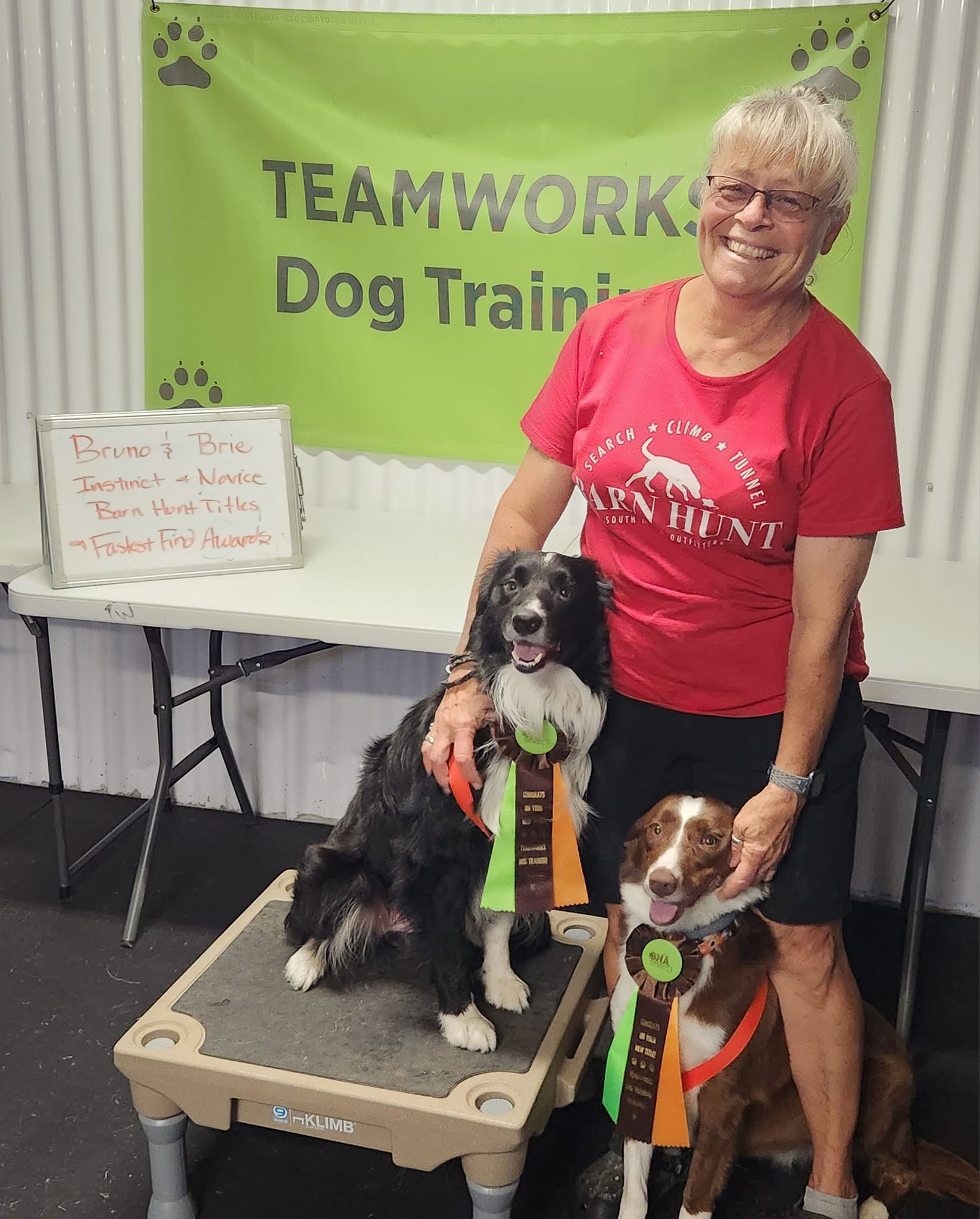 Smiling woman in red shirt standing next to two dogs with ribbons, in training room with green banner and whiteboard.