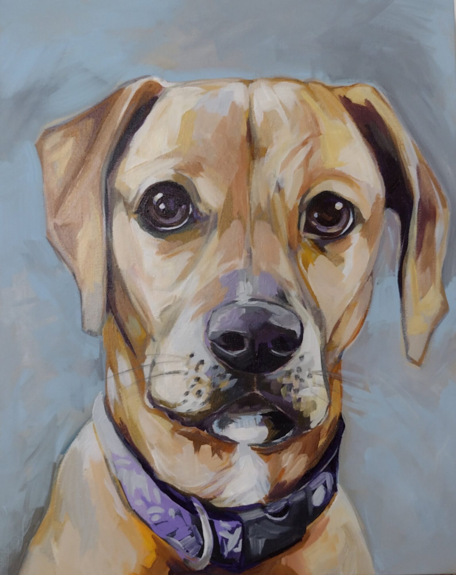Portrait of a dog with a purple collar, looking directly at the viewer, painted in a realistic style.