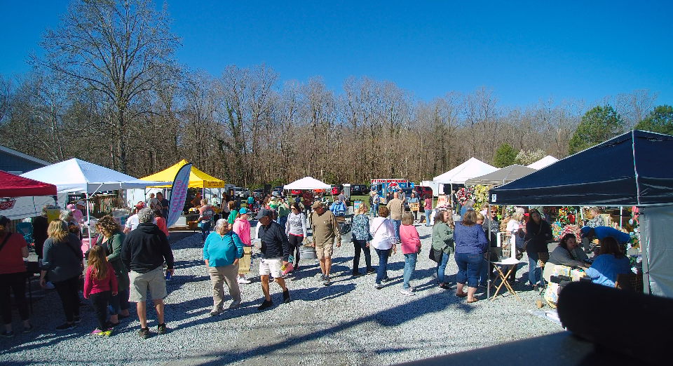Crowd of people at outdoor market with tents and trees in background, under a clear blue sky.