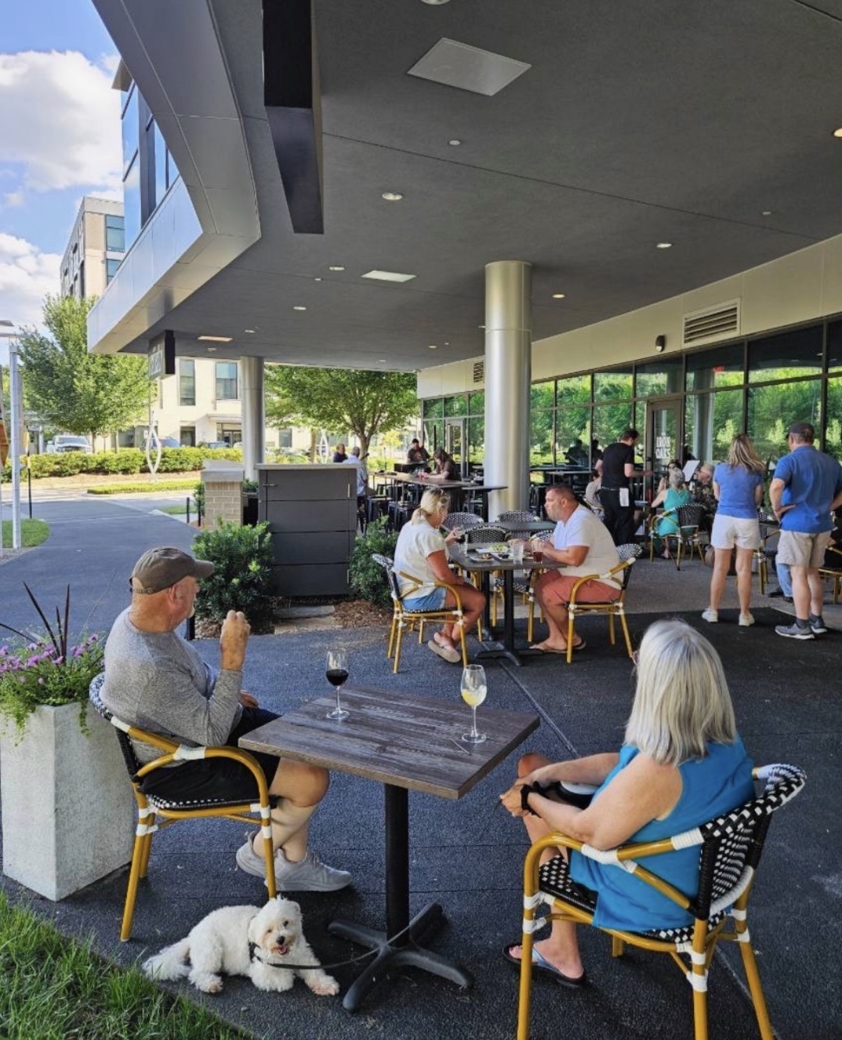People dining outdoors at a restaurant with a modern building and glass windows, some standing and chatting, a dog lying on the ground.