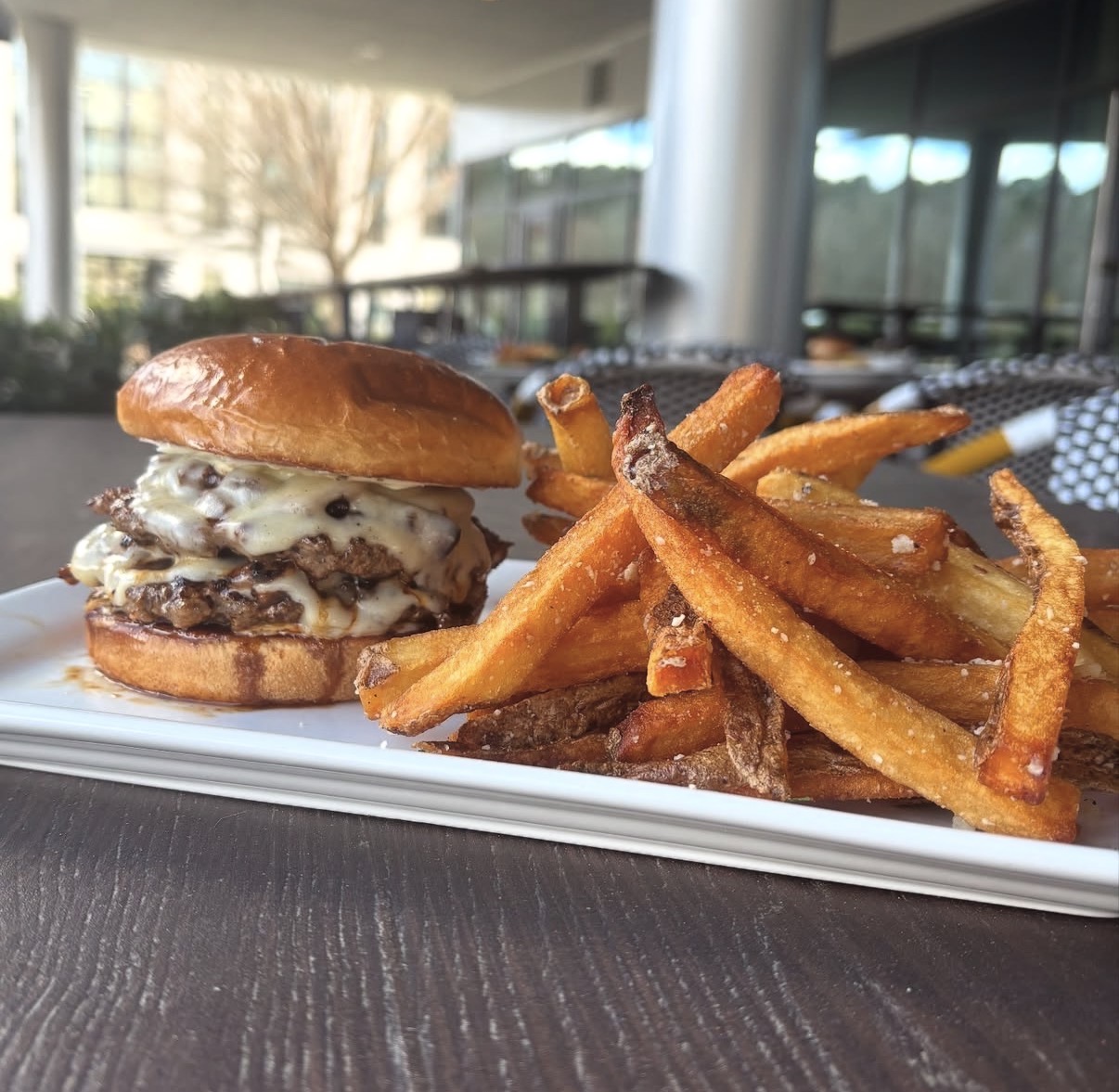 Burger with melted cheese and fries on a white plate, outdoor setting with glass windows and trees in background.