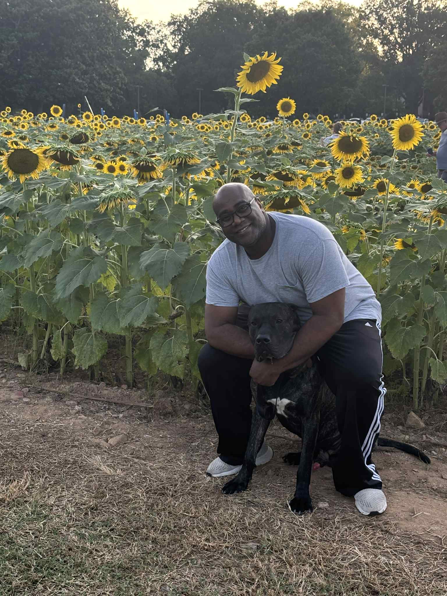 Man crouching with a dog in a sunflower field, tall sunflowers in background, daytime outdoor scene.
