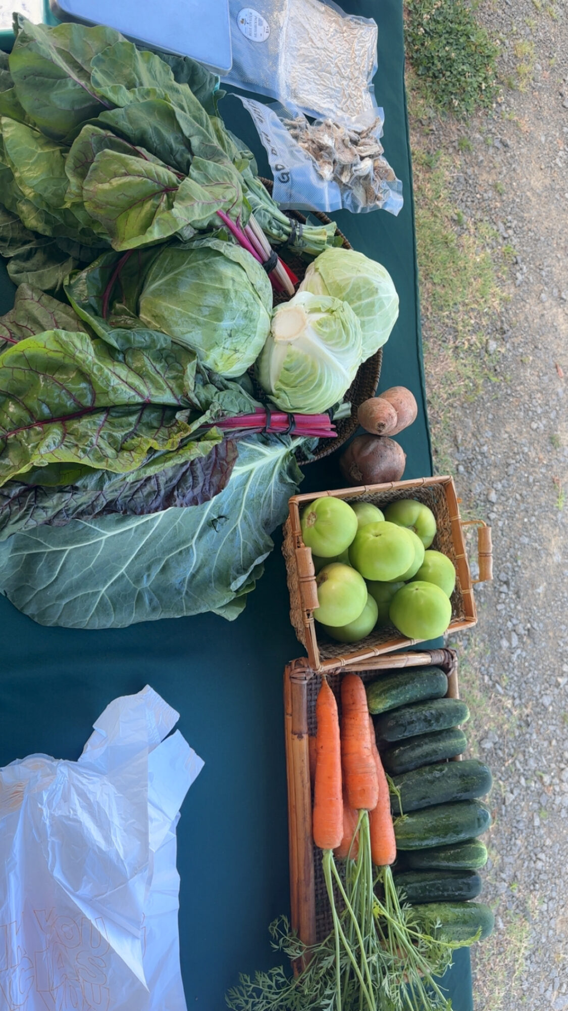 Fresh vegetables including leafy greens, cabbages, carrots, cucumbers, and apples on a blue table outdoors.