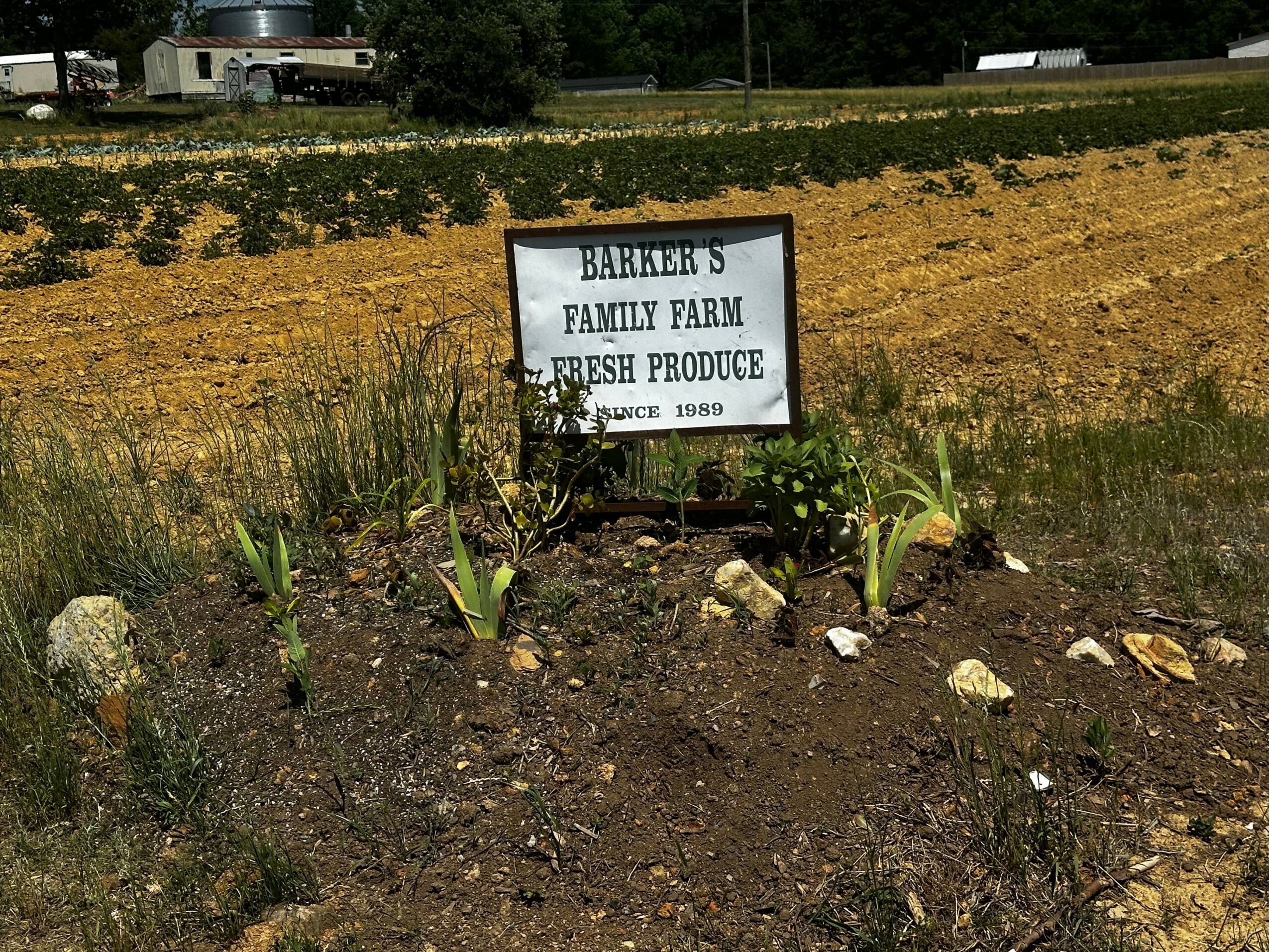 Sign for Barker's Family Farm with plants and soil in foreground, field and trees in background.