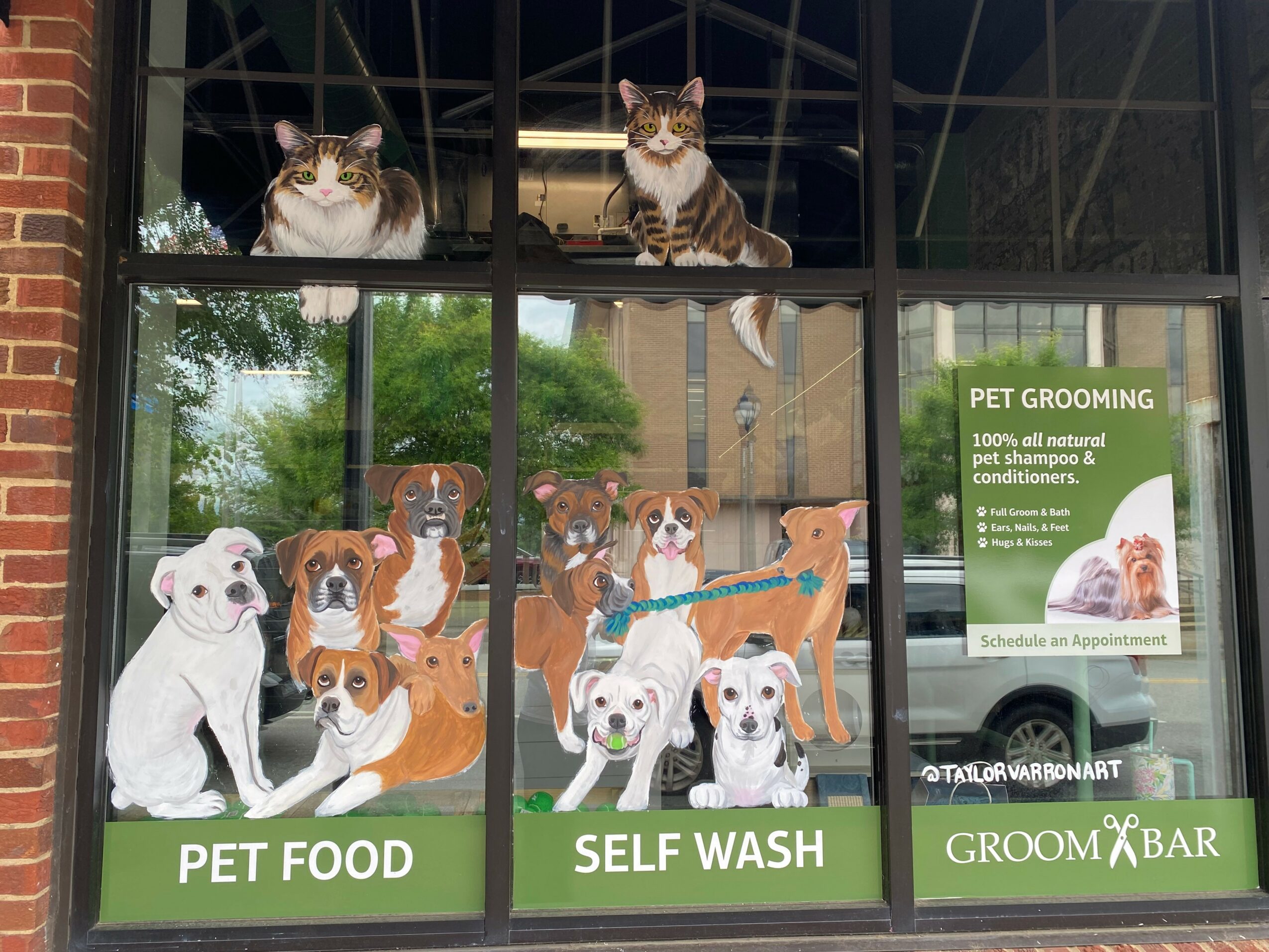 Cats sitting on a window ledge, with dogs and pet grooming signs below, including pet food and self-wash services.