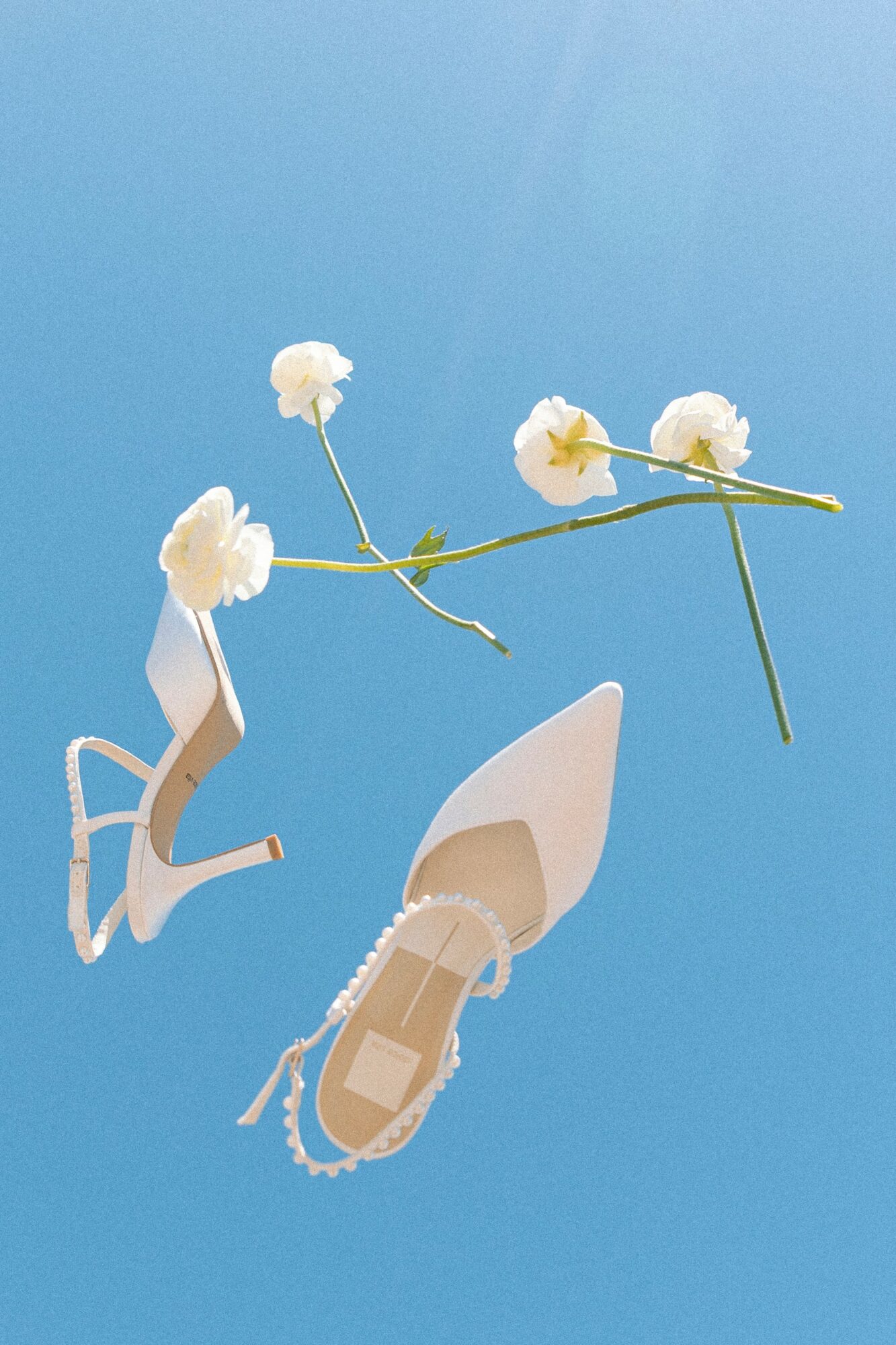 White high-heeled shoe and a flower with white blossoms against a blue sky.