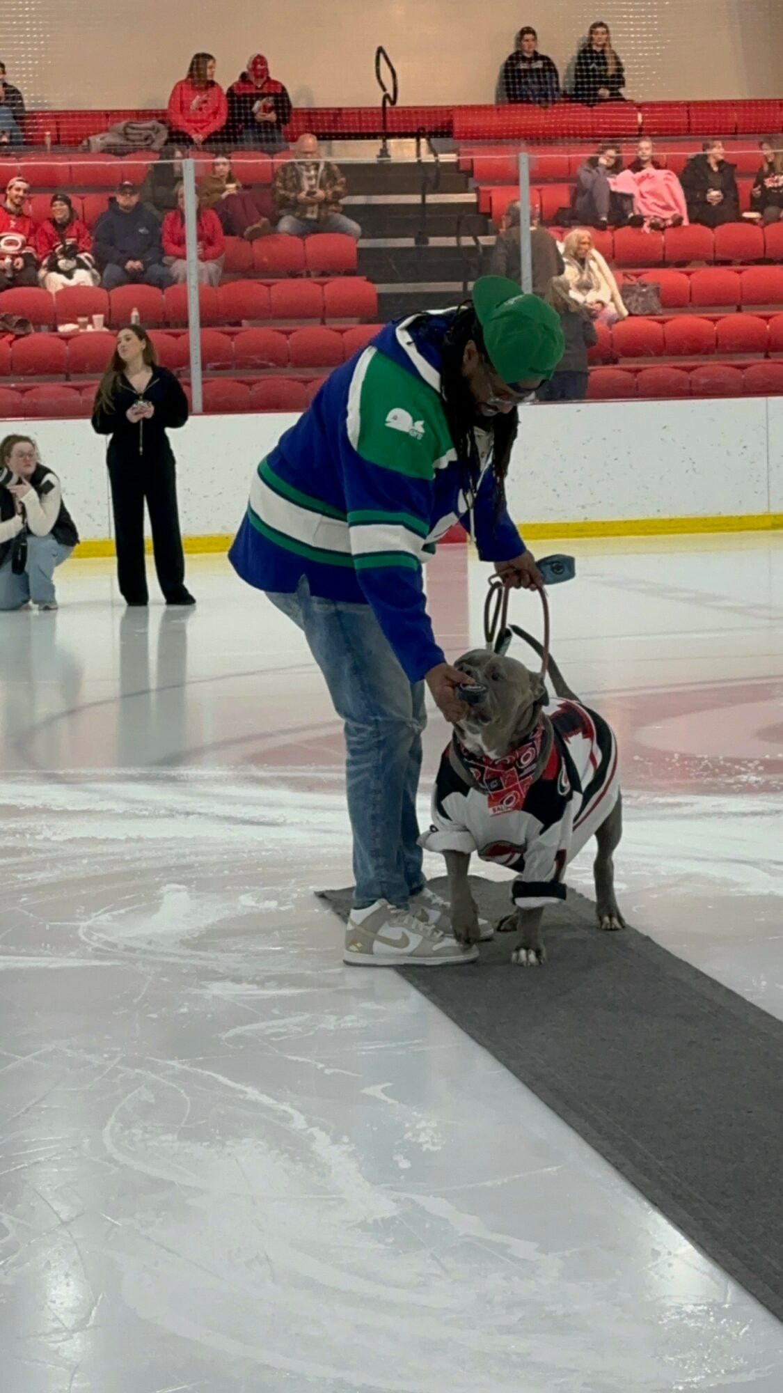Person in a green hat and blue jersey with white and green stripes interacts with a dog on ice rink, spectators in background.