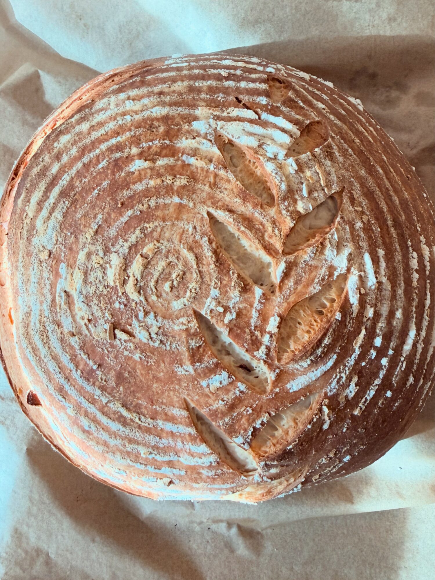 Round bread with spiral pattern and leaf-shaped cuts on top, resting on parchment paper.