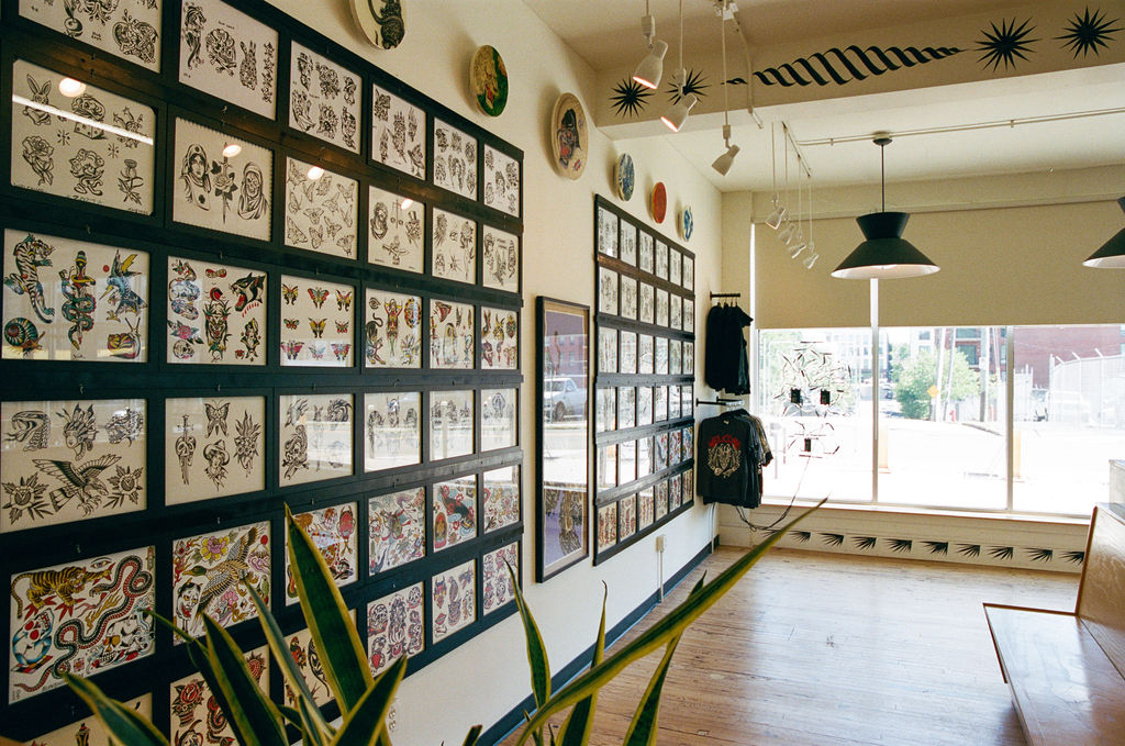 Gallery wall with framed artwork, plants in foreground, and large window letting in natural light, interior space with wooden floor.