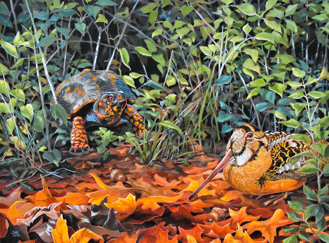 A turtle and a bird with a long beak in a forest with fallen leaves and green foliage.