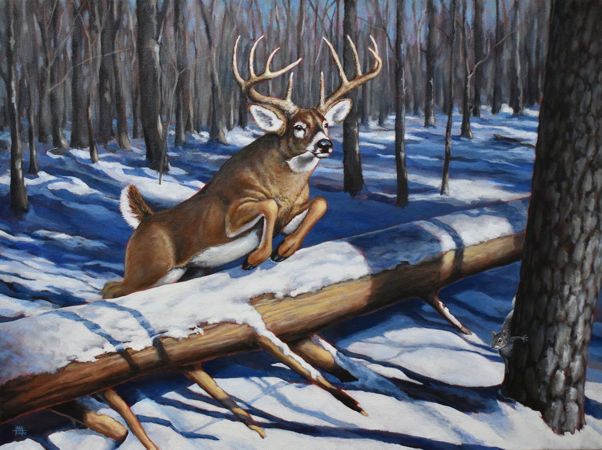 Deer with antlers standing on a fallen log in a snowy forest, trees in the background, sunlight casting shadows.