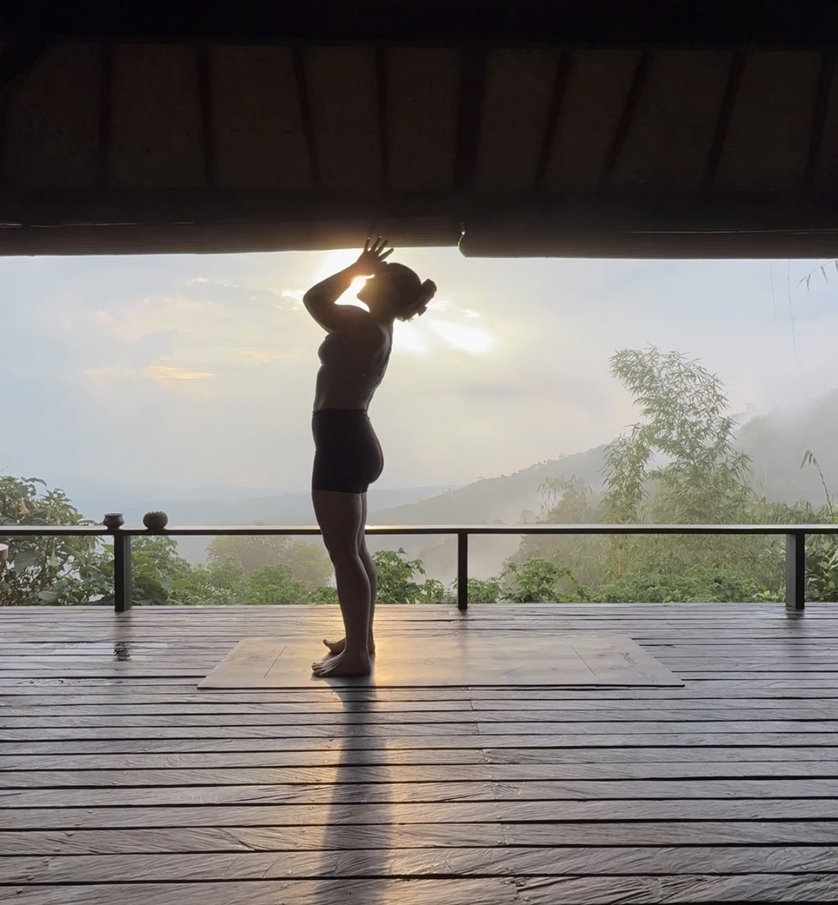 Person standing on a wooden deck, facing a scenic landscape with trees and sky, backlit by the sun, with a shadow cast on the deck.