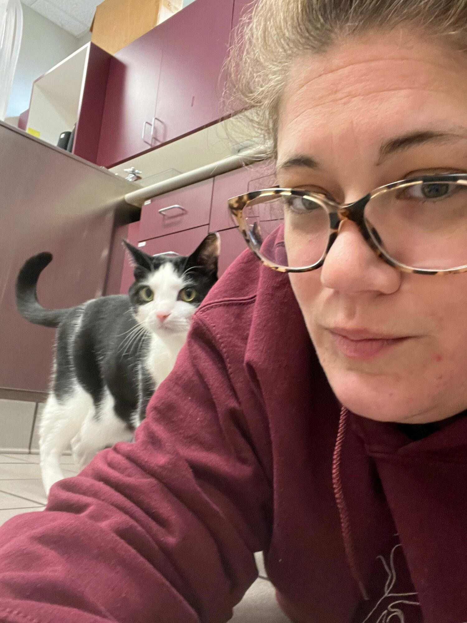 Person with glasses and a maroon hoodie taking a selfie with a black and white cat in a room with pink cabinets.