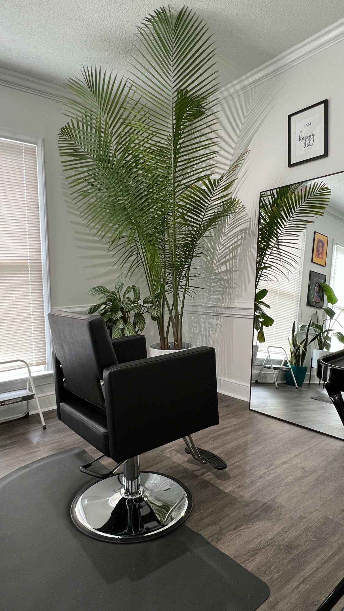 A large potted palm plant in a black chair with a mirror and other plants in a room.