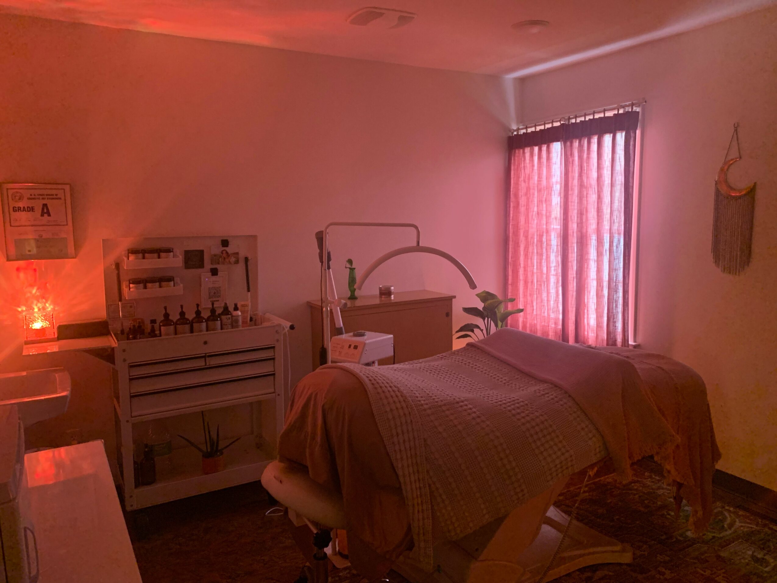 A dimly lit room with a bed, window with pink curtains, and medical equipment, including a monitor and plants.