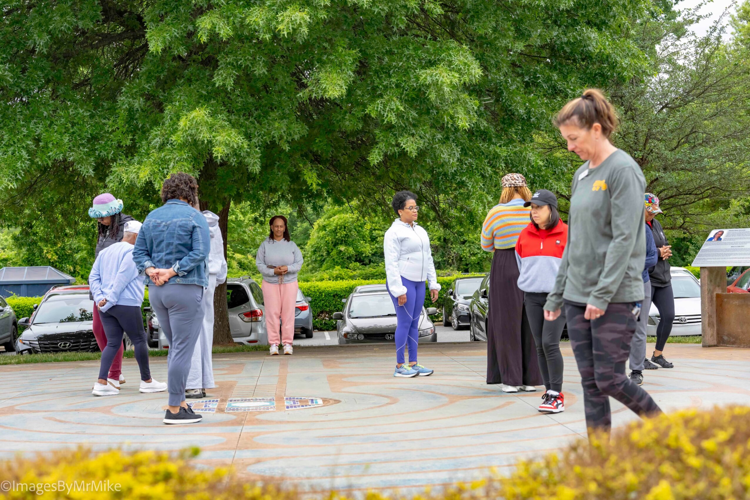 Group of people standing outdoors on a paved area with trees and parked cars in the background.