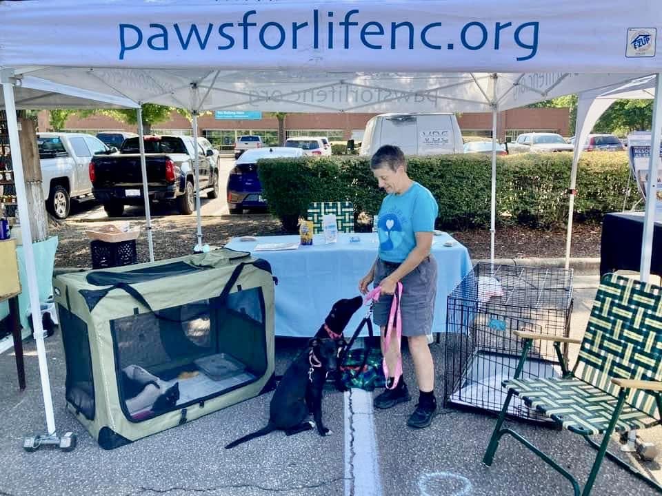 Young boy in blue shirt and shorts standing next to a pet carrier and a shopping cart under a tent with a website URL, outdoor parking lot background.
