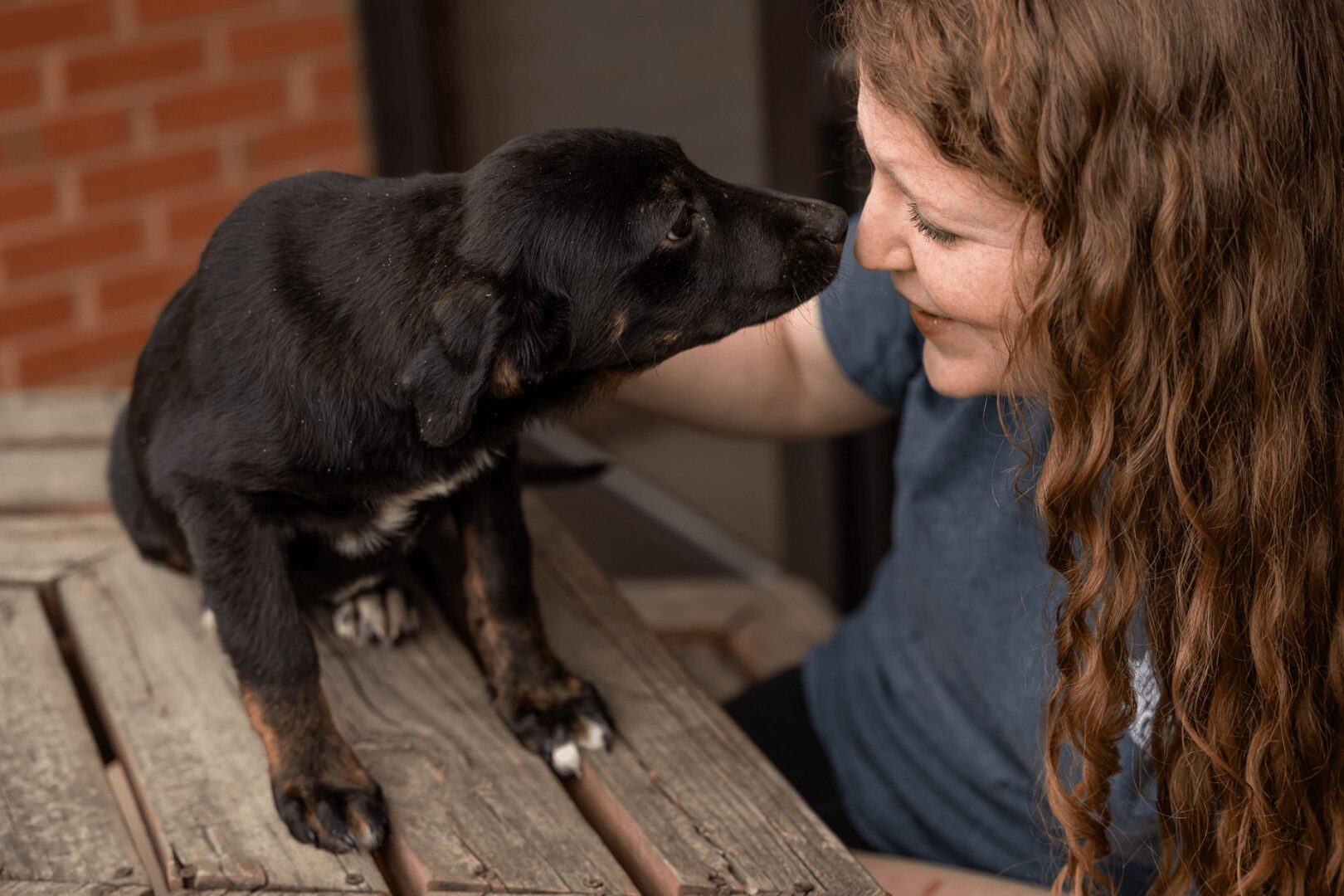 Person with curly hair smiling at a small black puppy on a wooden surface.