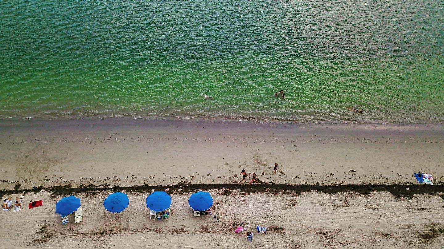Beach with four blue umbrellas, people on sand, and two dogs near water, viewed from above.