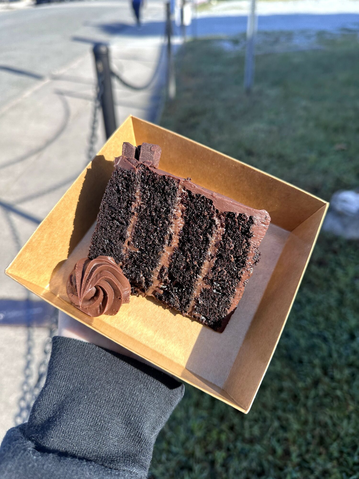 A hand holding a small box with a slice of chocolate cake with three layers and chocolate frosting, outdoors on grass.