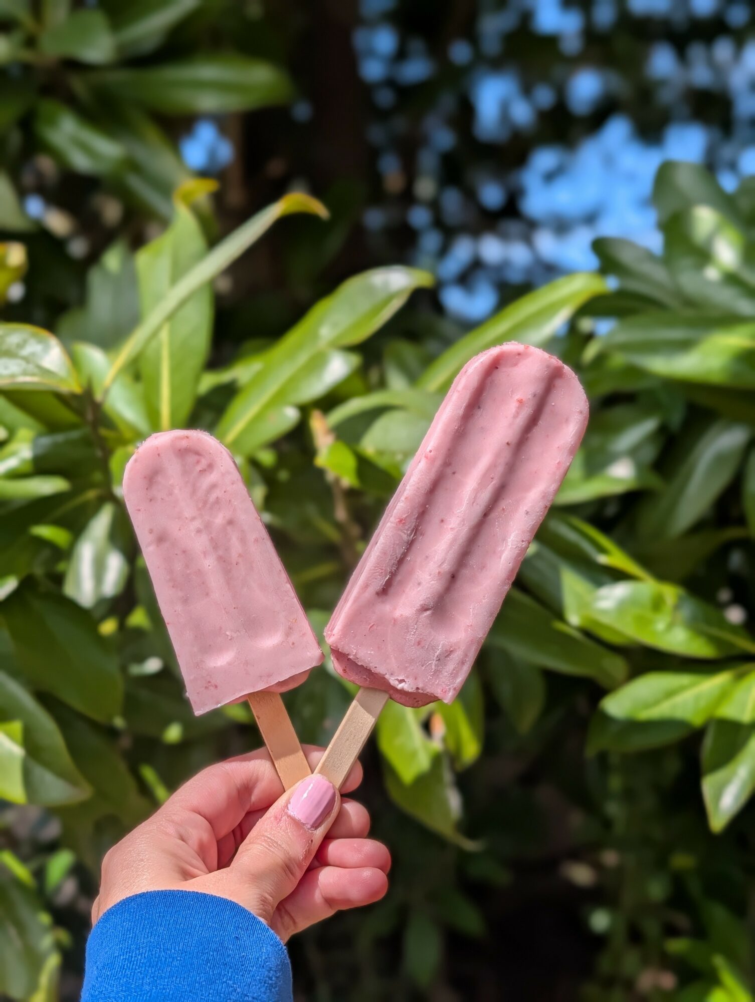 Person holding two pink popsicles outdoors with green leaves and blue sky in background.