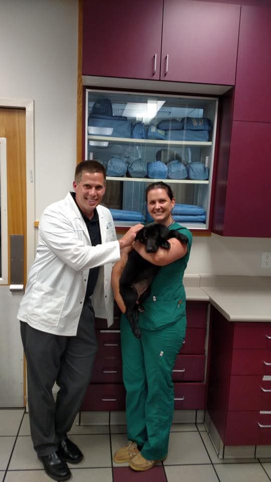 Two people in medical scrubs holding a black puppy in a room with purple cabinets and a glass-fronted display case.