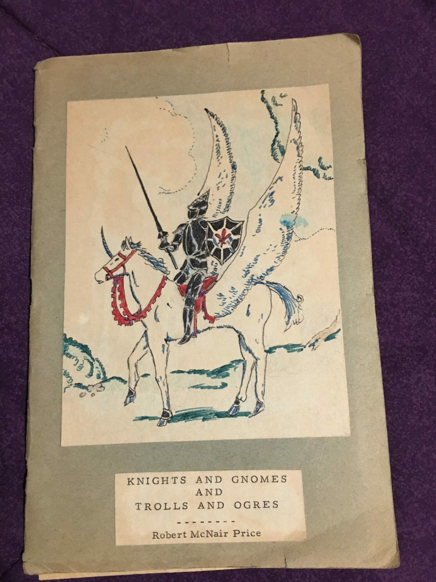 Book cover with an illustration of a spider on a branch, and a white label with text about nocturnal and diurnal creatures.