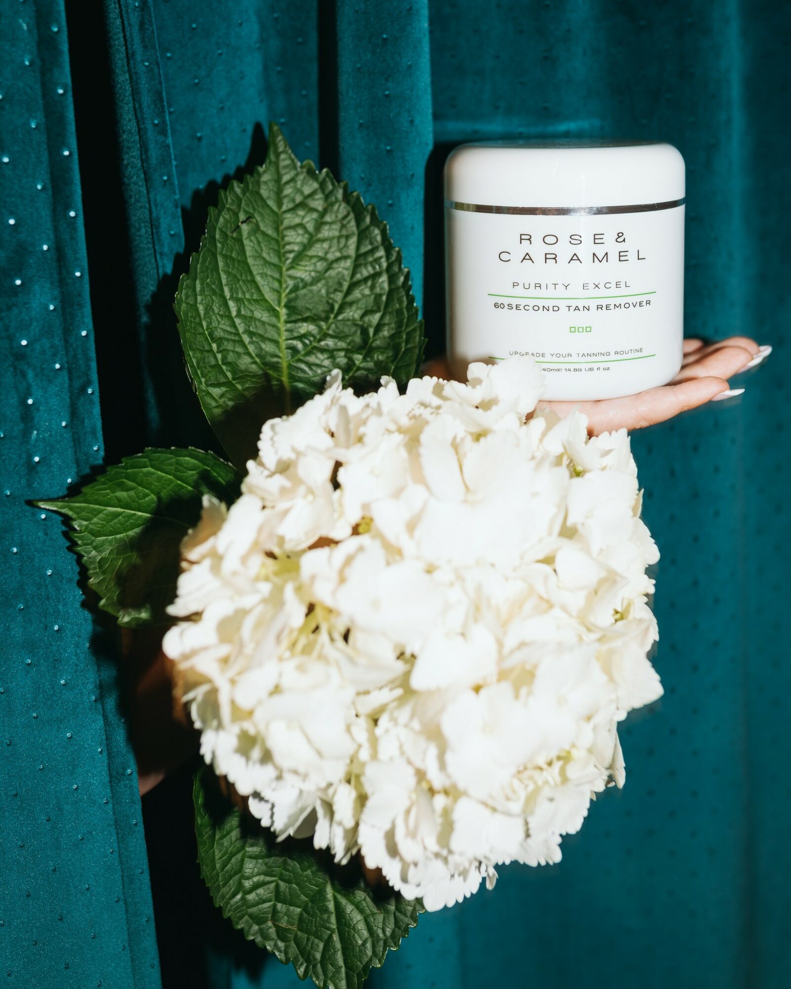 A white jar labeled 'ROSE & CARAMEL' is held by a hand next to a large white hydrangea flower and green leaves against a teal background.