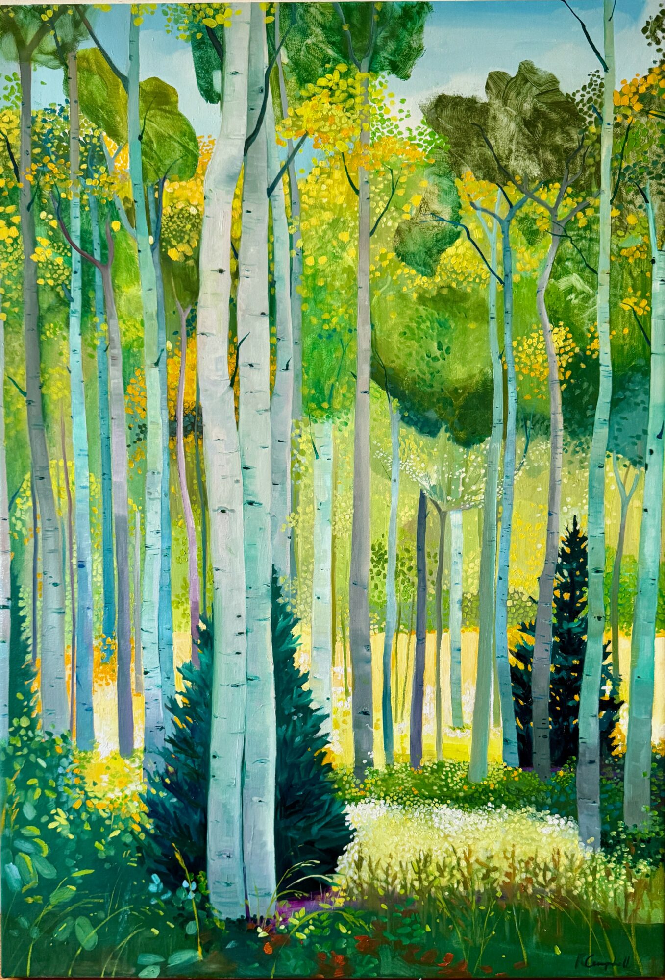 A forest scene with tall trees, green foliage, and sunlight filtering through the leaves.
