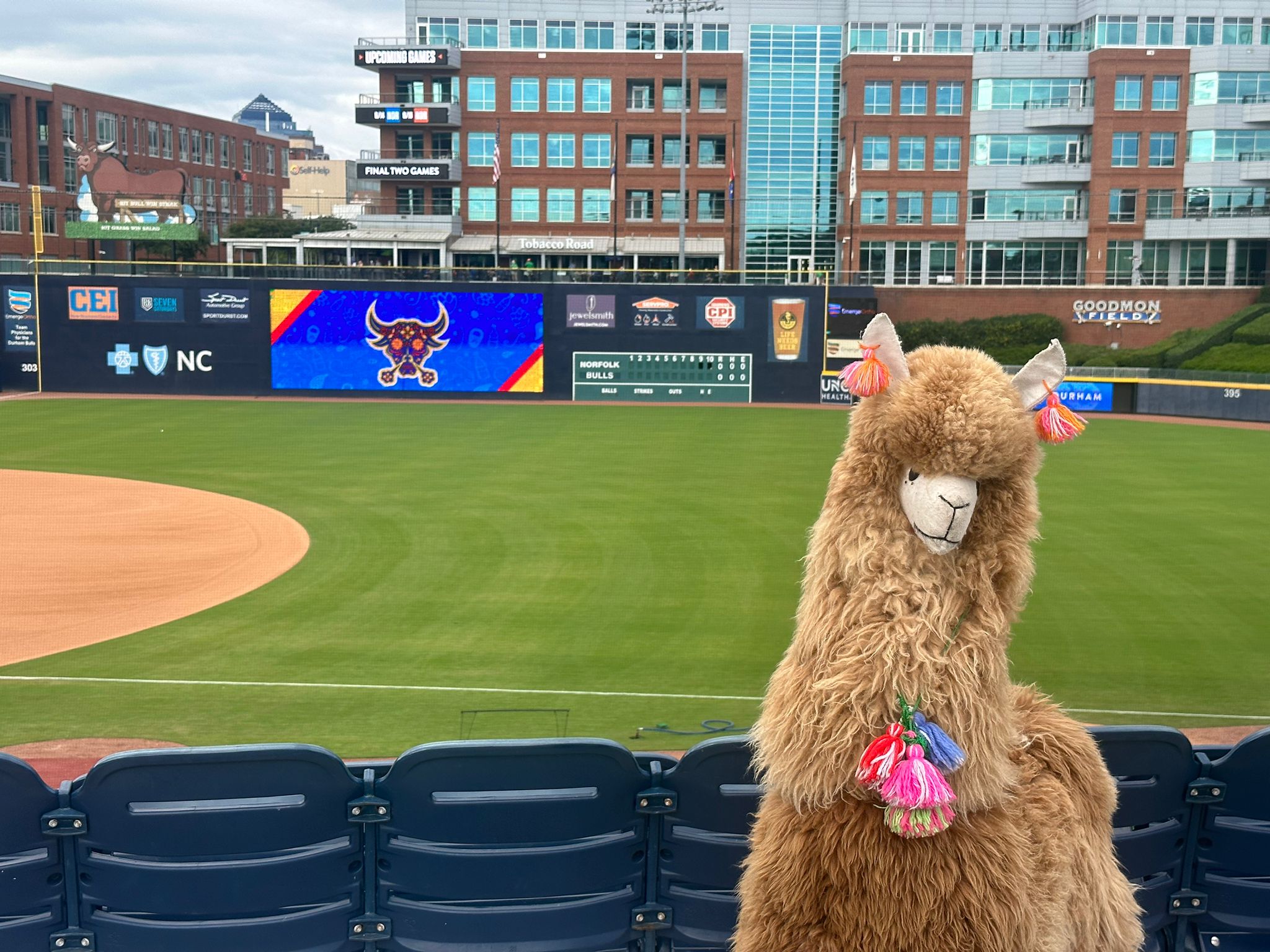 A person in a llama costume with pink accessories stands in front of a baseball field with empty seats and buildings in the background.