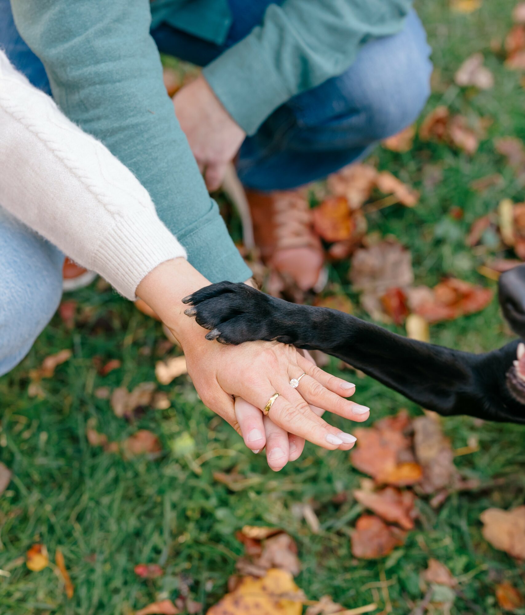 Person's hand with a ring, holding another person's hand, with a dog reaching out its paw. Fall leaves on grass.
