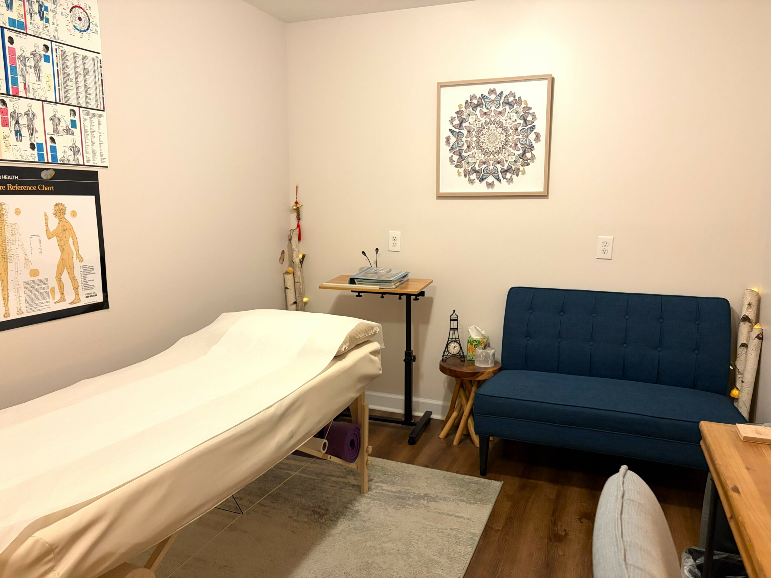 Medical examination room with a bed, a blue sofa, a small table, and wall art, with a wooden floor and white walls.