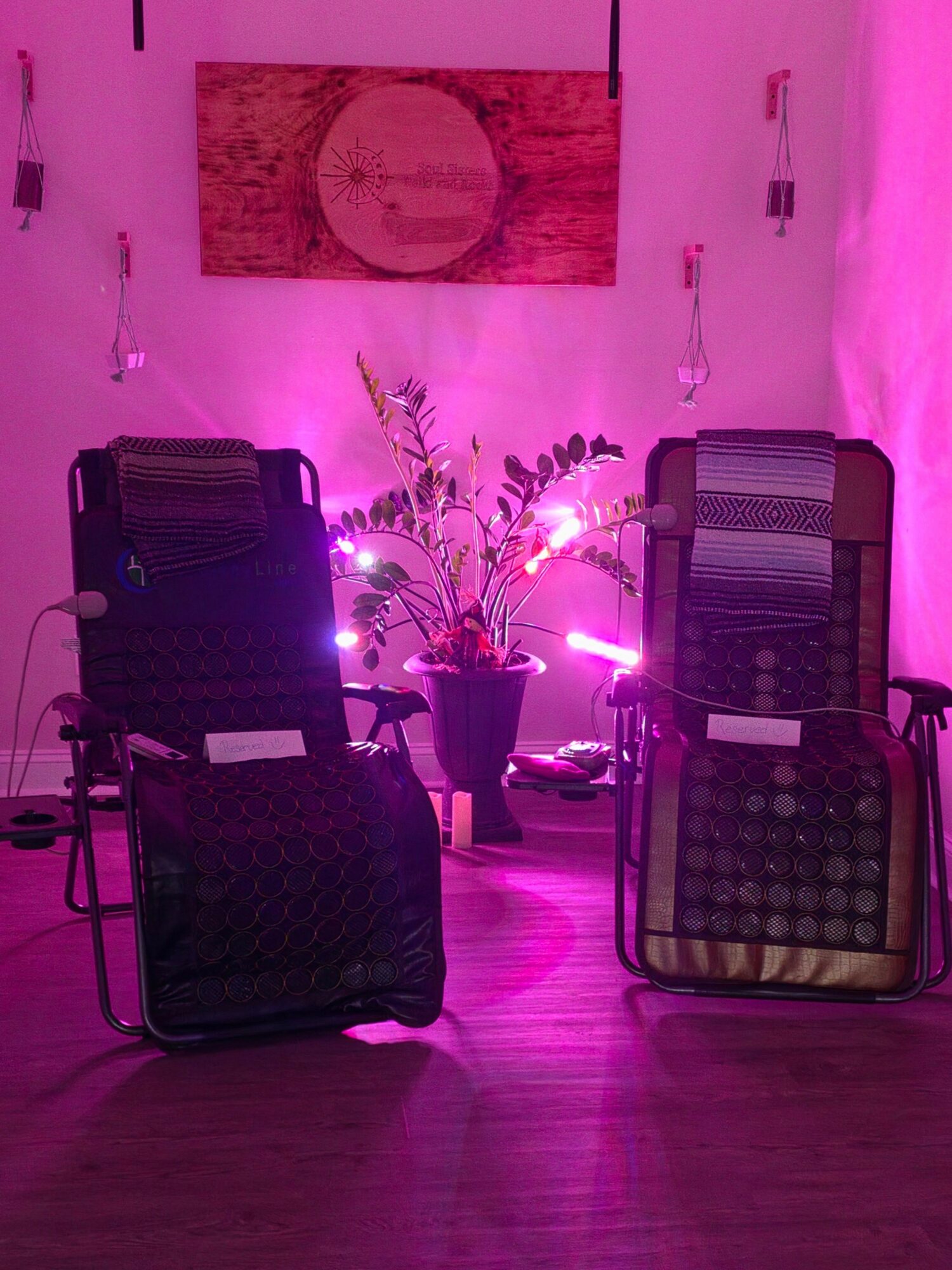 Two chairs with mesh backs face a small table with a plant, illuminated by pink and purple lighting, against a white wall.