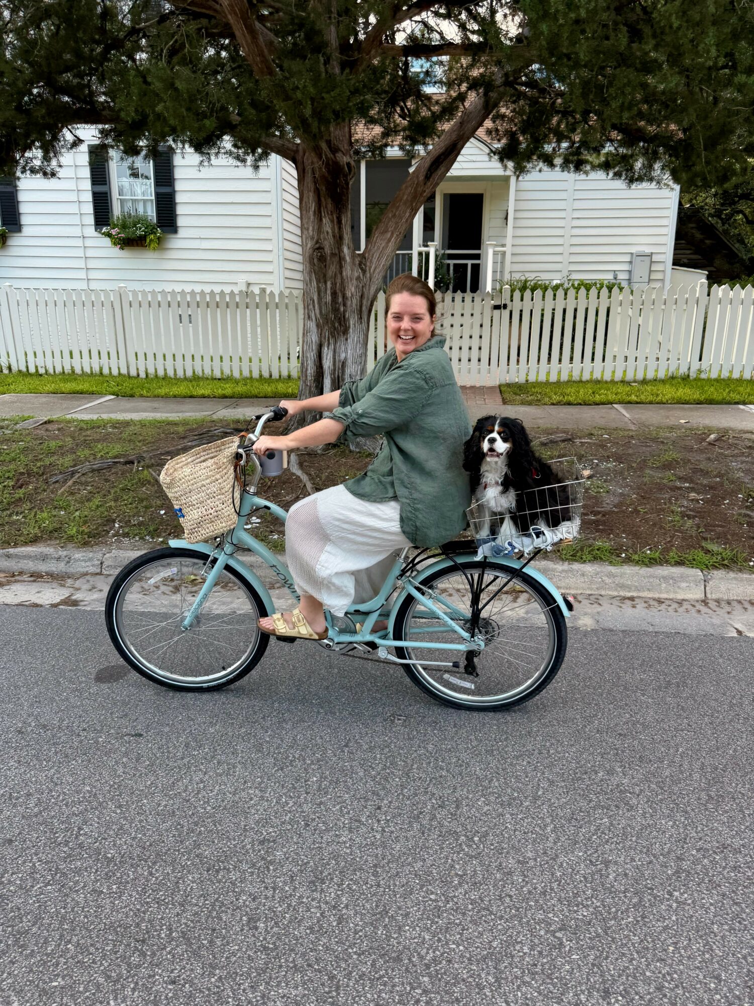 Woman riding a bicycle with a dog in a basket, trees and white house in background.